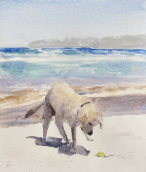 Happy dog on the beach