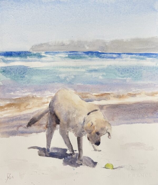 Happy dog on the beach