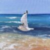 Seagull