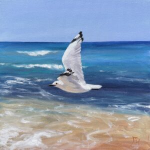 Seagull