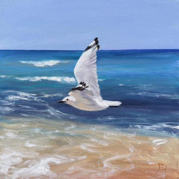 Seagull